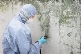 Best Industrial Mold Remediation  in Dovesville, SC